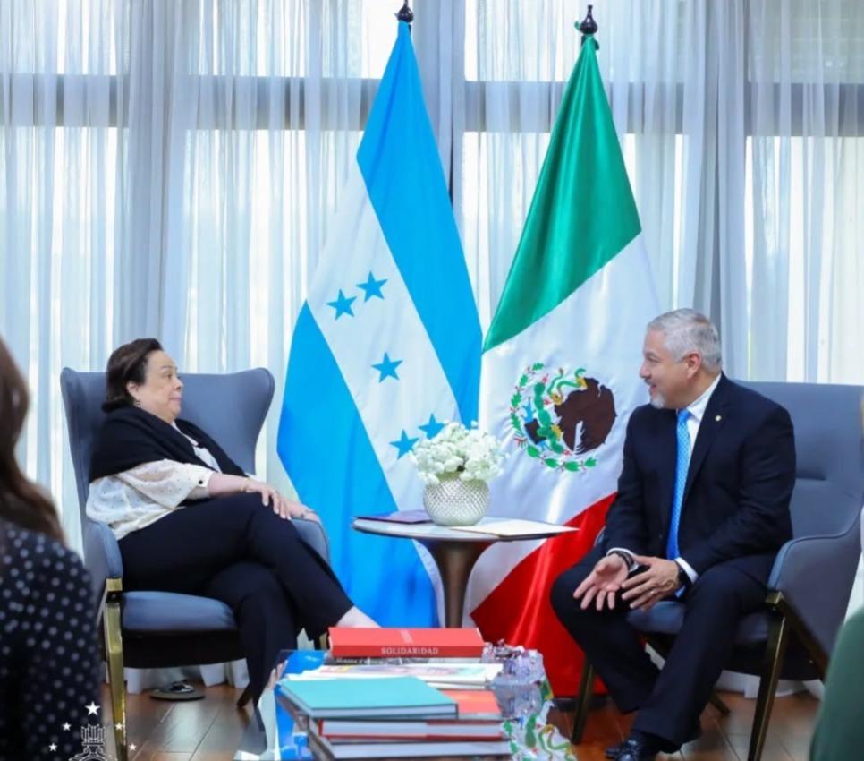 Canciller Enrique Reina recibe a la Embajadora de México en Honduras - Cover Image